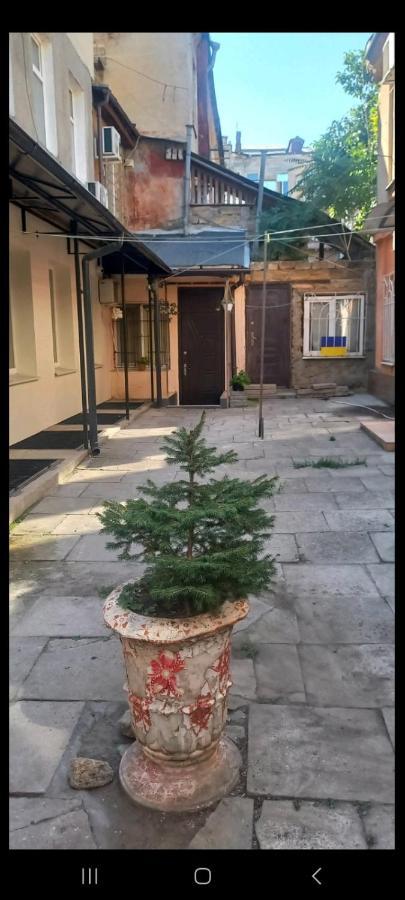 Александровский Odessza Kültér fotó